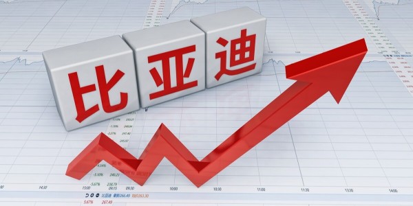 比亞迪刀片電池已供應特斯拉 ：車輛最快8月底下線