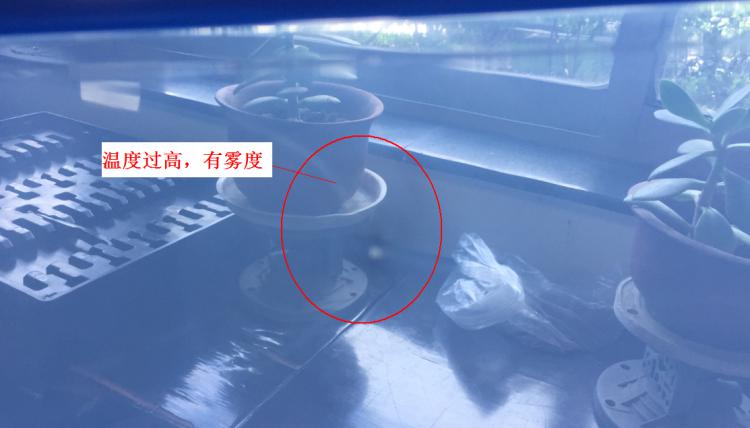 注塑製品質量缺陷分析（六）造成製品表麵有霧度的主要原因是什麽？