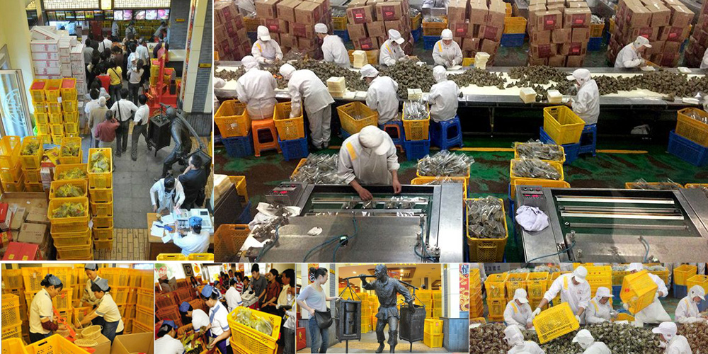 香蕉911污版為嘉興五芳齋集團提供粽子專用香蕉视频软件下载周轉箱